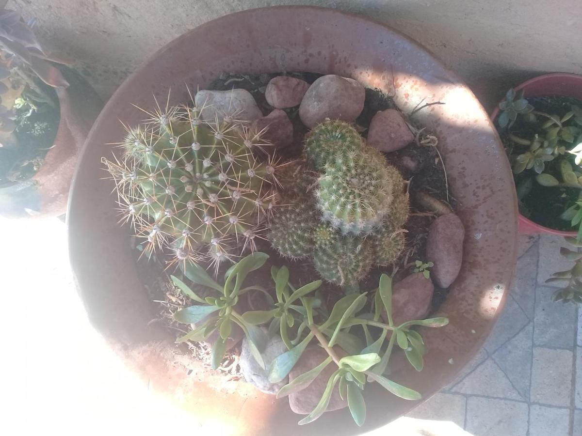 Cabana El Cardon,Casita En El Campo Quebradeno Humahuaca Exteriör bild