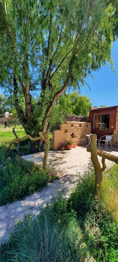 Cabana El Cardon,Casita En El Campo Quebradeno Humahuaca Exteriör bild
