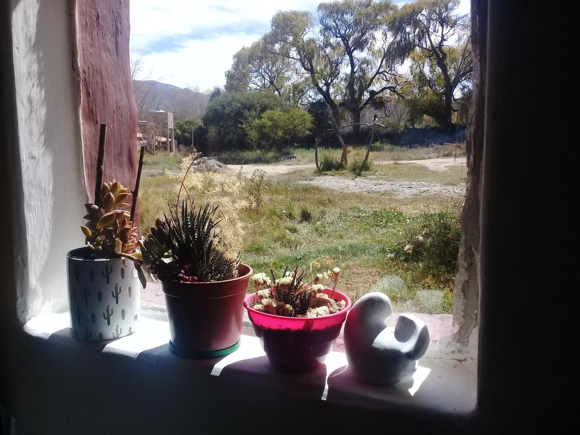 Cabana El Cardon,Casita En El Campo Quebradeno Humahuaca Exteriör bild