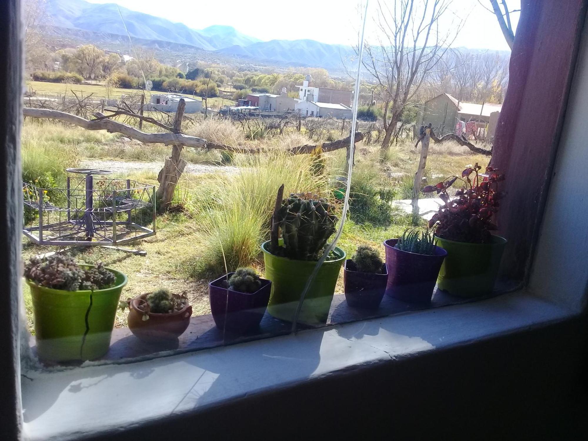Cabana El Cardon,Casita En El Campo Quebradeno Humahuaca Exteriör bild