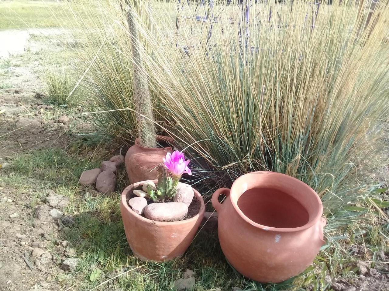 Cabana El Cardon,Casita En El Campo Quebradeno Humahuaca Exteriör bild