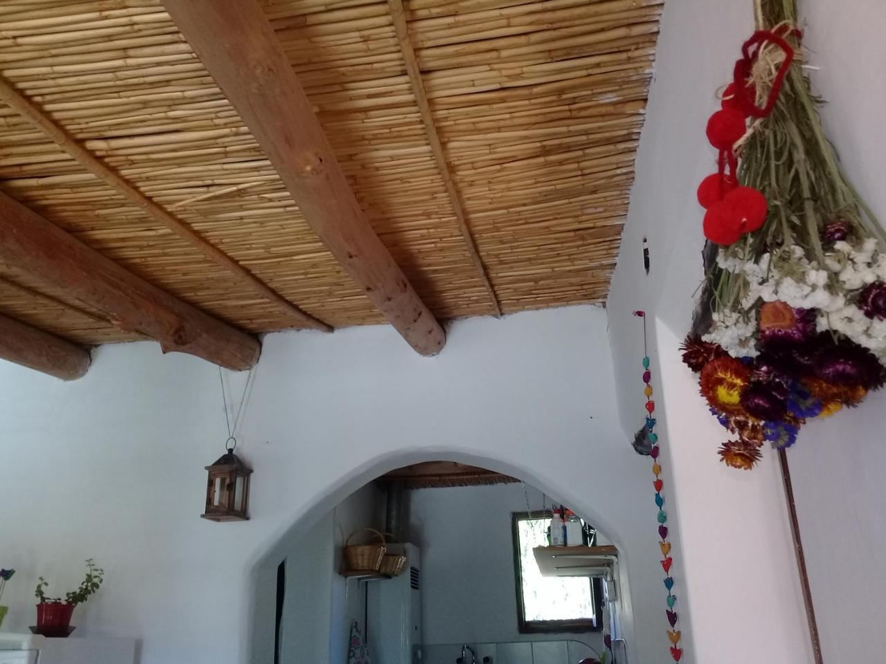 Cabana El Cardon,Casita En El Campo Quebradeno Humahuaca Exteriör bild