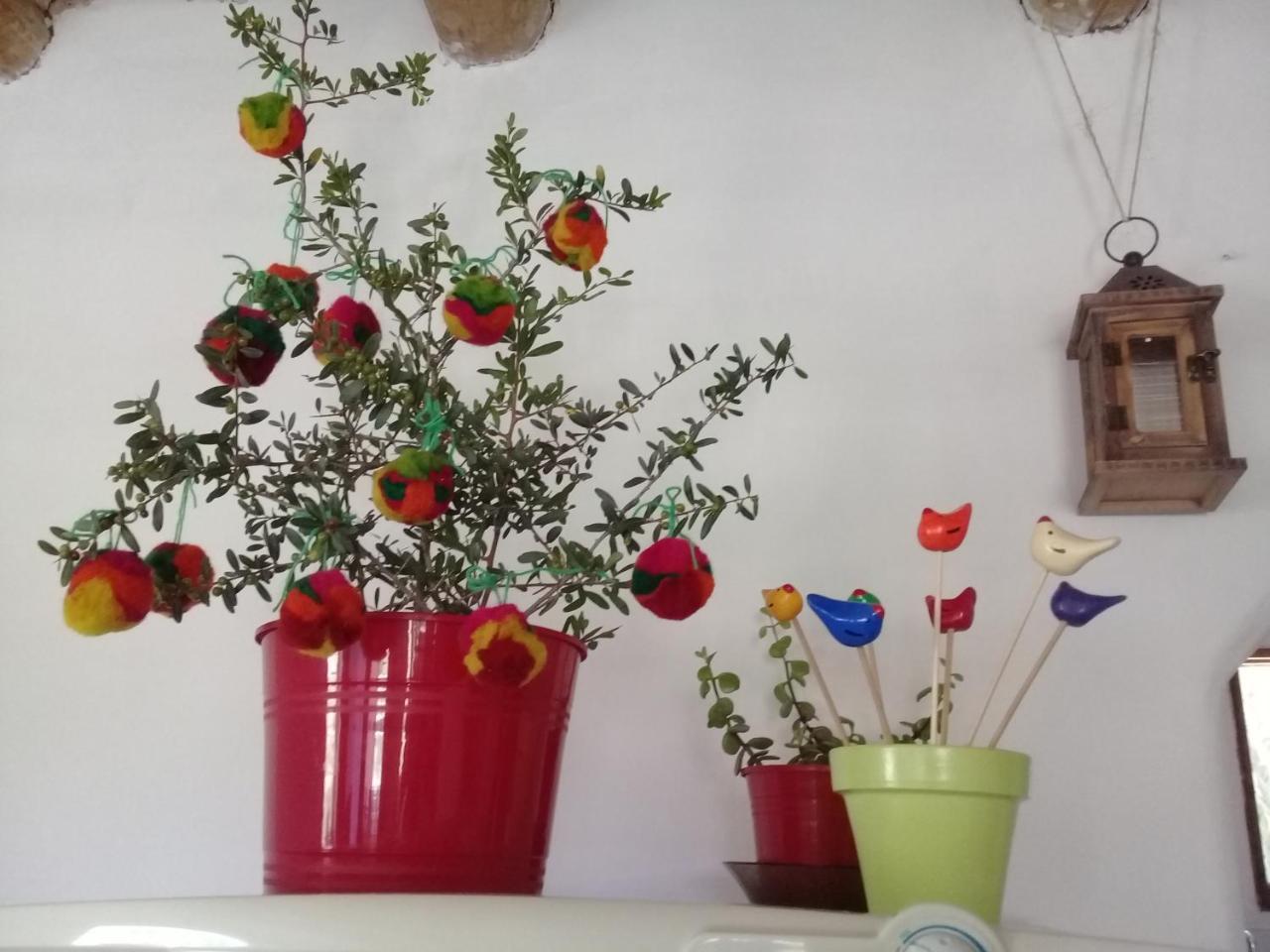 Cabana El Cardon,Casita En El Campo Quebradeno Humahuaca Exteriör bild