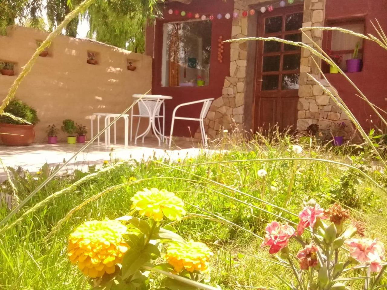 Cabana El Cardon,Casita En El Campo Quebradeno Humahuaca Exteriör bild