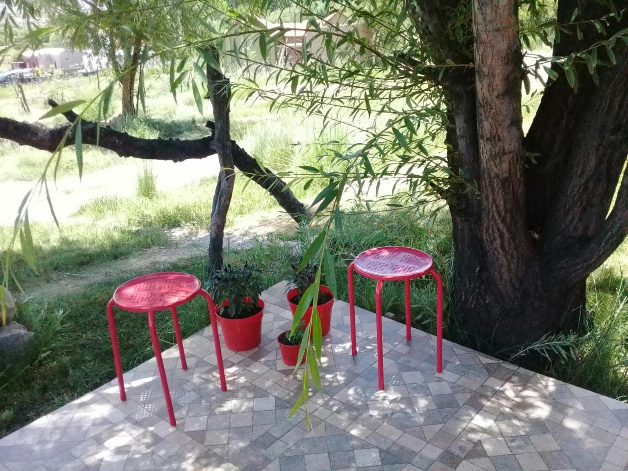 Cabana El Cardon,Casita En El Campo Quebradeno Humahuaca Exteriör bild